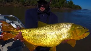 Pesca de ENORME dorado con señuelo 9 kg. - Esquina - Corrientes (2da Parte)