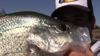 Crappie fishing.