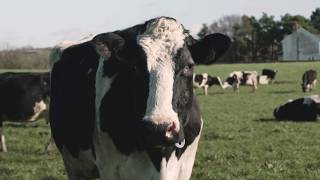 Episode 1 Trailer - The Evolution of Irish Farming