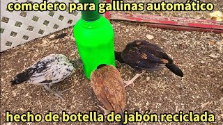 el mejor comedero de gallinas cacero de botellas de jabón recicladas