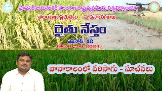 వానాకాలంలో వరిసాగు - సూచనలు  Episode -12 || PJTSAU || Rhythu Nestam Live Program ||