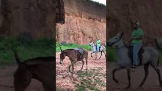 Haras Siman Pt 8