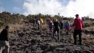 Velkommen til Kilimanjaro