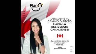 📈 Tasa de Empleo en Canadá 2024: Estabilidad y Crecimiento 🇨🇦