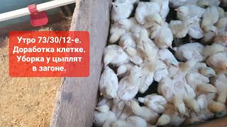 Утро 73/30/12-е. Доработка клетки, уборка в загоне у цыплят. Выращивание бройлеров росс 708.