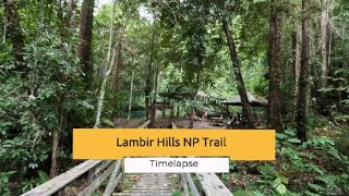 Lambir Hills National Park Trail - Time Lapse Video