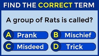 Vocabulary Challenge: Find The Correct Term! #challenge 16