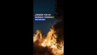 ¿Prisión por un incendio forestal?