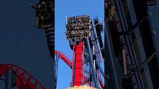 Sheikra Roller Coaster #rollercoaster #shorts #viral