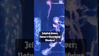 Jellyfish: The Ocean’s Secret Power Plant & Deadliest Predator