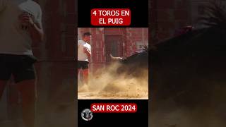 EL PUIG SAN ROC 2024 4 toracos  #toros #bull #bulls #torostv #toroshoy #shortstoros