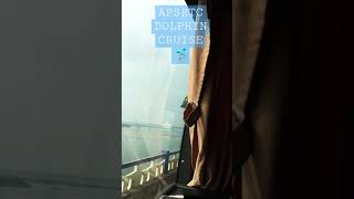 Apsrtc DolphinCruise  #bus #volvo #trending #shorts #apsrtc #india #volvobus #dolphincruise #travel