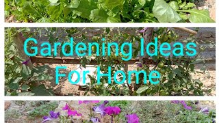 Gardening Ideas For Home/ Vegetable Gardening / Gardening Is My Passion // Vlog 9