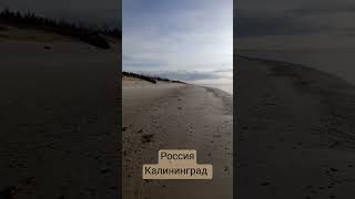 Россия, Калининград. Рад что родился, вырос и живу здесь!