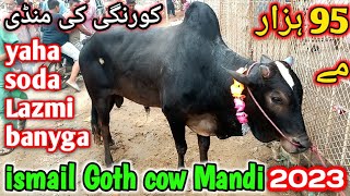 ismail goth Mandi Karachi Cattle Rates update | Cheapest cow Mandi in Karachi | Sabsy sasti Mandi