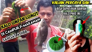 SEKALI LEMPAR LANGSUNG DI SAMBAR || UMPAN LUMUT CAMPUR ESEN MURAH