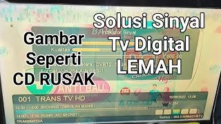 Solusi sinyal tv digital lemah ll Langsung Praktek