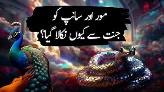 Hazrat adam Aur Shaitan Ka Waqia | Mor Or Sanp Ko Janat Se Q Nekala |