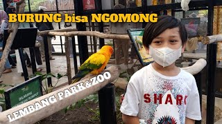 ada burung bisa ngomong di lembang park&zoo