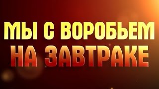 Воробей в кафе - Ришон ле-Цион (Израиль)