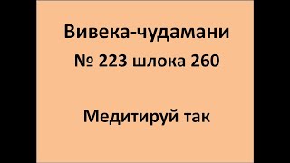 ВивекаЧудамани курс Свамини Видьянанды Сарасвати 223 шлока 260 Медитируй так