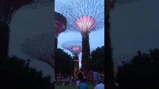 Por do Sol no Supertree Grove - Gardens by the Bay - Cingapura - Maio 2019