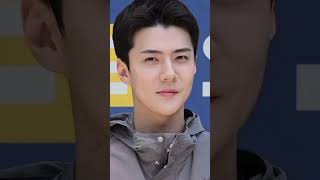 EXO Sehun's visual is 'no joke' 😍 #sehun #shorts