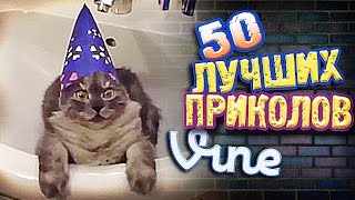 Самые Лучшие Приколы Vine! (ВЫПУСК 125) Лучшие Вайны [17+]