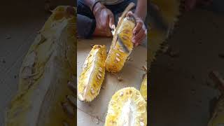 Jackfruit cutting #పనస పండు Health benefits @Anusharamcherukuri