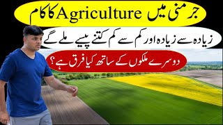 Agriculture Work in Germany | Work Permit Germany | Europe Work Permit | Life Style | Village