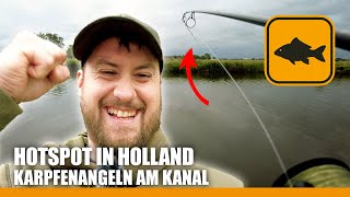 Erfolgreich Karpfenangeln am Kanal 🐟🤩 TIPPS & SPOTS in Holland 👈