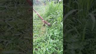 Battery Cordless Grass Trimmer 18V DIY Косилка 5