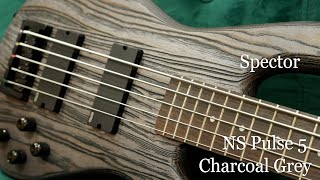 White Guitars - Spector / NS Pulse 5 - Charcoal Grey