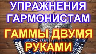 УПРАЖНЕНИЯ  НА ГАРМОНИ! ГАММЫ ДВУМЯ РУКАМИ!