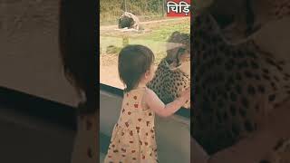 चिड़िया घर का शीशा टूट जाए तो क्या होगा? | zoo glass break |