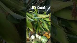 I Love Corn 🤭🙉     Food Video #shorts #asianfood #corn #itscorn