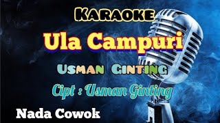 ULA CAMPURI | KARAOKE LAGU KARO | NADA COWOK