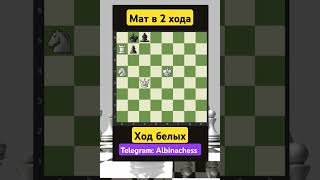 Telegram: Albinachess #chess #шахматы #chorts #музыка