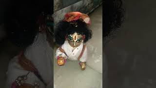 आओ बहना तुम बरसात में नाचे हम#laddugopal#funnyvideo#laddugopalshorts#samriddhighosh4474#shortsfeed