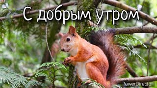 С добрым утром ☀️ Музыкальная открытка