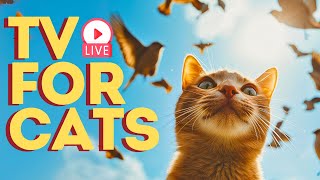 🔴 Endless Music for Cats Video 24/7  🎵Calming  Sleep Music for Cats 🐈🎵  Cat Calming Music