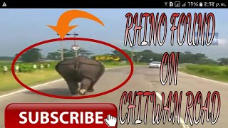 Rhino Found On Chitwan Road - Viral Video(Nepal)