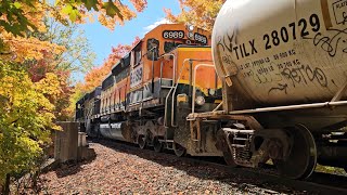 SPECTACULAR FALL COLORS! W&LE GP40-3 #300 & #6989 run on the Medina Ohio B&O! 10-17-24