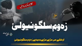 Che Zrha La Darda Bailaidy | Okhkay Me Mrhay Baheday | Ghazali Marwat official | MorJanay  Nazam