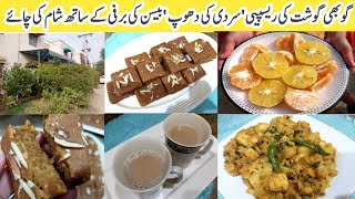 daily routine vlog | basin ki barfi recipe | ghobi ghoshat recipe | vlogs pakistani