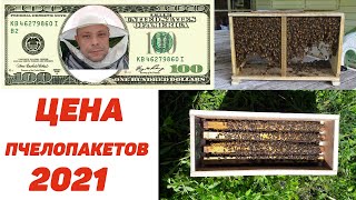 Себестоимость пчелопакета. Пчелопакеты 2021