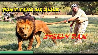 HQ FLAC  STEELY DAN  - DONT TAKE ME ALIVE  Best Version  SUPER ENHANCED AUDIO & LYRICS