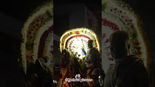 வேப்பிலை மாரியம்மன் வேடபரி  #manaparai  #Vedapari #Vepilaimariamman #trending #viralvideos