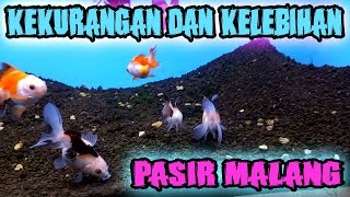 AMANKAH PASIR MALANG UNTUK KOKI ⁉️ SIMAK KELEBIHAN DAN KEKURANGANYA ‼️