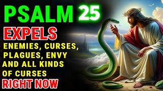 PRAYER OF PSALM 25: EXPEL ENEMIES, WITCHCRAFT AND RECEIVE DIVINE PROTECTION AND HELP IN YOUR LIFE